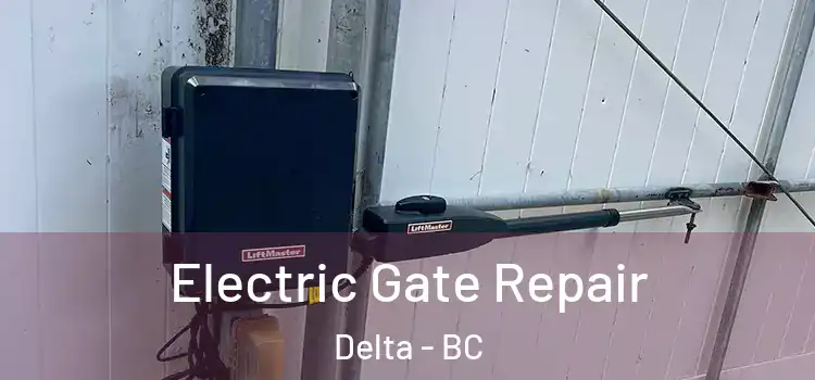  Electric Gate Repair Delta - BC