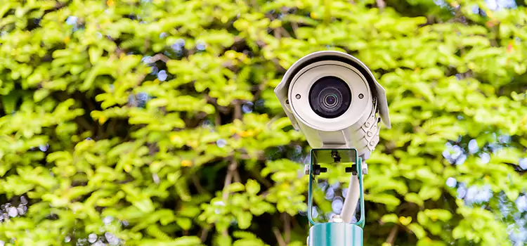 Advanced Surveillance Solutions for Every Need in Delta