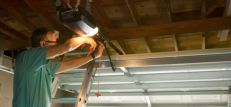 Garage Door Opener Sales and Installation Delta