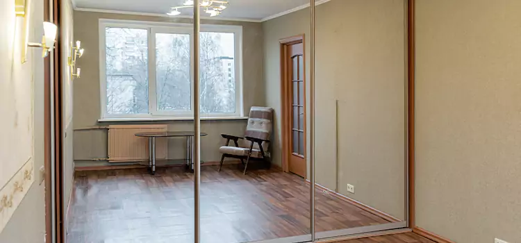 Mirror Closet Door Roller Replacement Delta